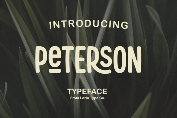 Peterson: A Versatile Sans Serif for Modern Design